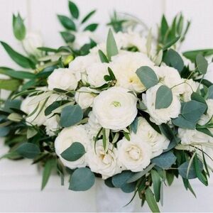 Meet your Posher, Sadie